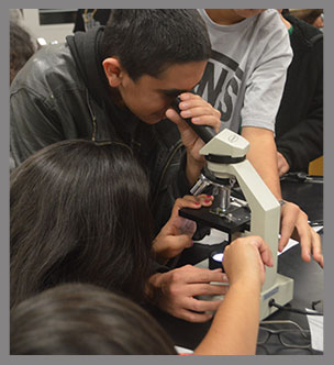Students look into a microscope